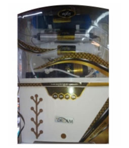 Traditional Ladies Suit